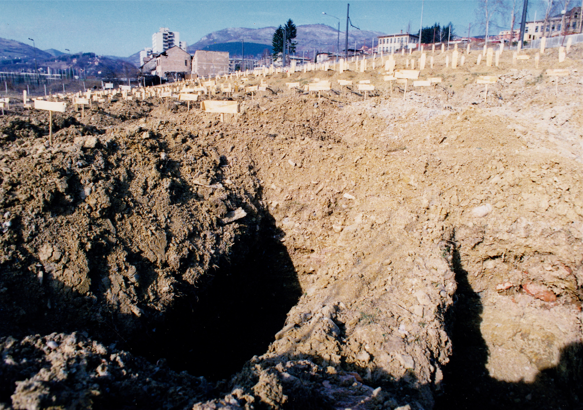 6923594372_418461df6f_k