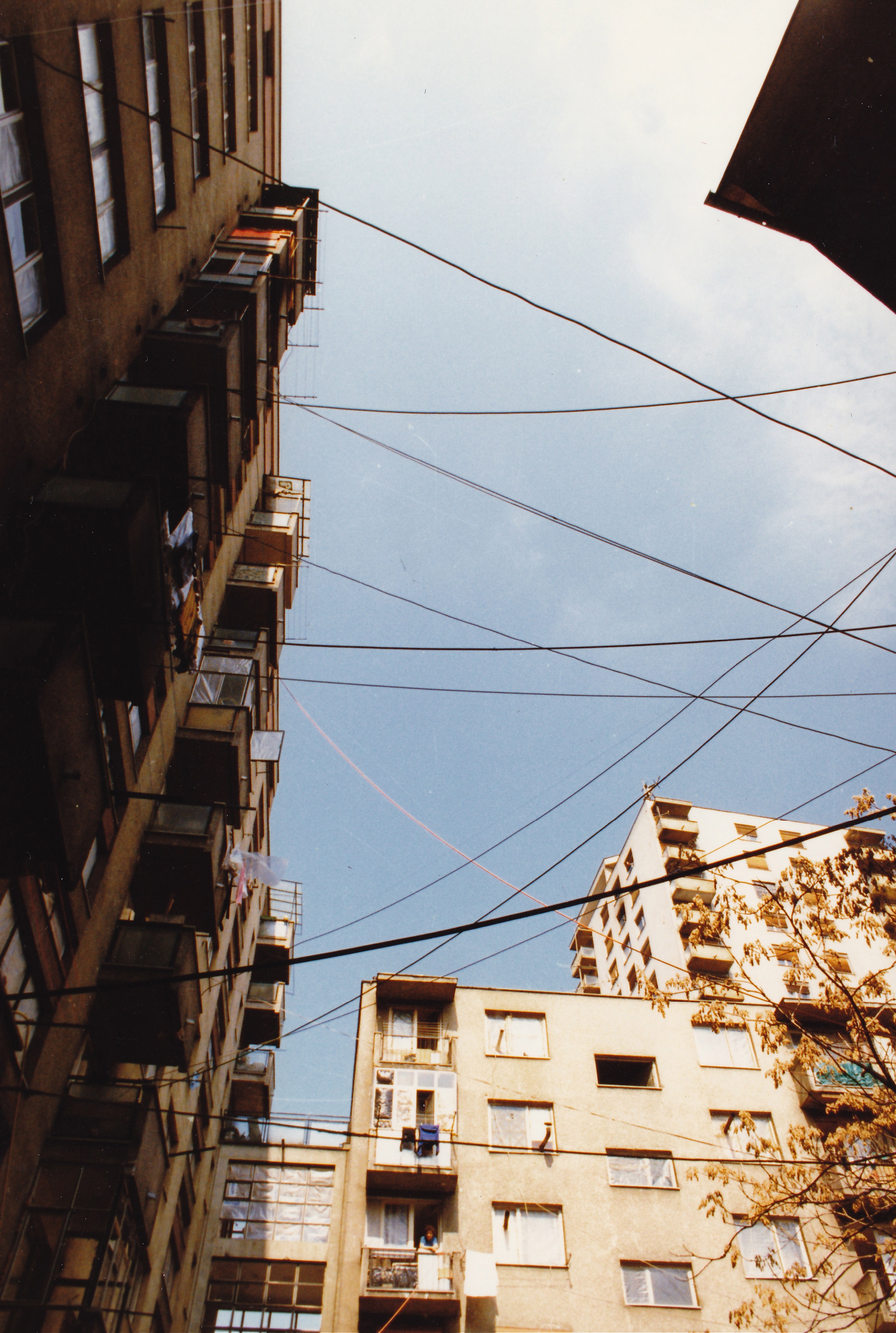 6923595080_8c460d33ce_o